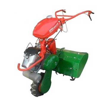 IMT 504